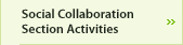 Social Collaboration Section Activities